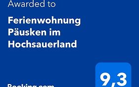 Ferienwohnung Paeusken Im Hochsauerland- E- Bike Und Auto Laden Moeglich